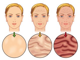 Phasen der Alterung der Haut